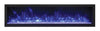 Image of Remii 102765-XS 65" Extra Slim Indoor or Outdoor Electric Built-in